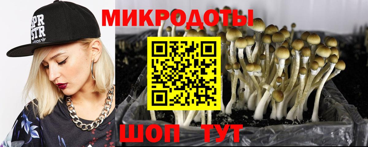 наркота  Вход с VPN  Кинель  Галлюциногенные грибы GOLDEN TEACHER  Псилоцибиновые грибы прущие грибы 